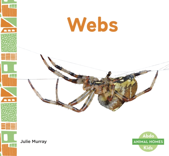 Animal Homes: Webs, Paperback / softback Book