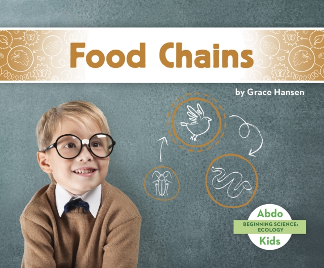 Beginning Science: Food Chains, Paperback / softback Book