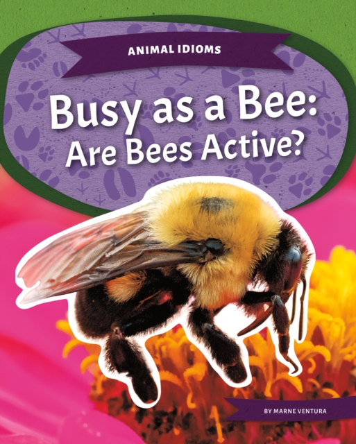 Animal Idioms: Busy as a Bee: Are Bees Active?, Paperback / softback Book