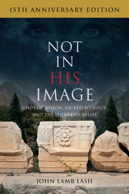 Not in His Image (15th Anniversary Edition) : Gnostic Vision, Sacred Ecology, and the Future of Belief, Paperback / softback Book
