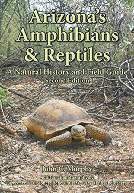 Arizona's Amphibians & Reptiles : A Natural History and Field Guide, Paperback / softback Book