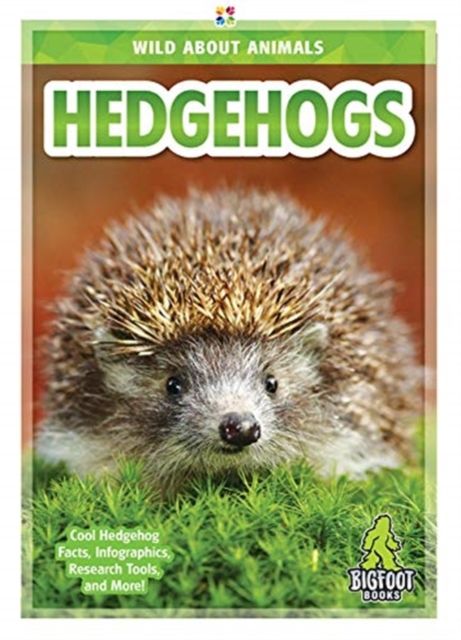 Hedgehogs, Hardback Book