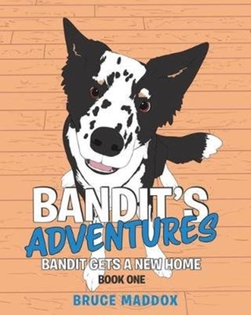 Bandit's Adventures: Bandit Gets a New Home, Paperback / softback Book