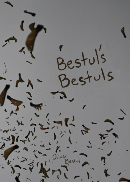 Bestul's Bestuls, Paperback / softback Book