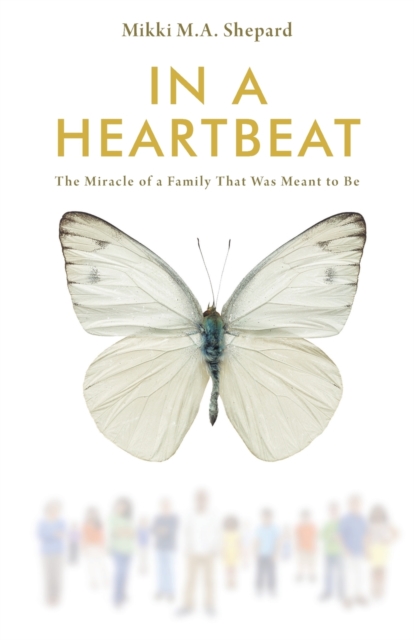 In a Heartbeat : The Miracle of a Family That Was Meant to Be, Paperback / softback Book