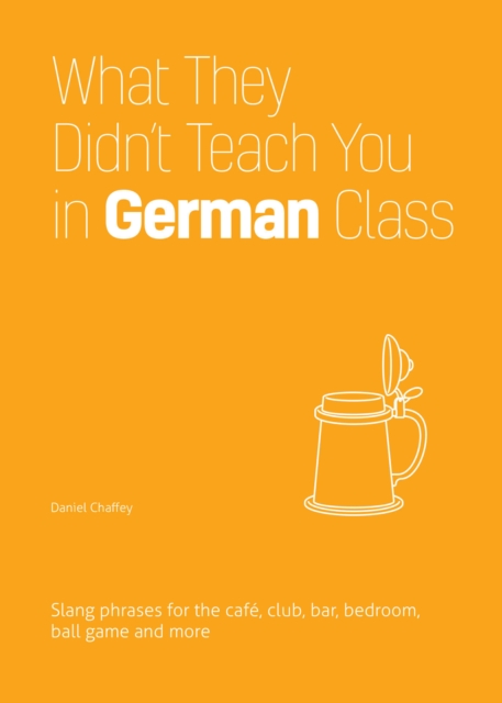 What They Didn't Teach You In German Class : Slang Phrases for the Cafe, Club, Bar, Bedroom, Ball Game and More, Paperback / softback Book
