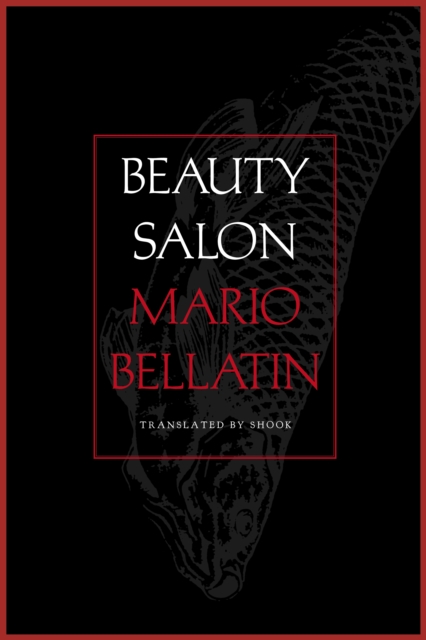Beauty Salon, EPUB eBook