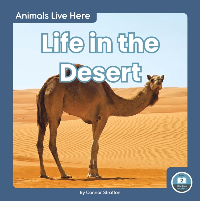 Animals Live Here: Life in the Desert, Hardback Book