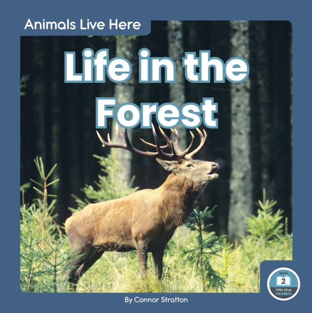 Animals Live Here: Life in the Forest, Paperback / softback Book