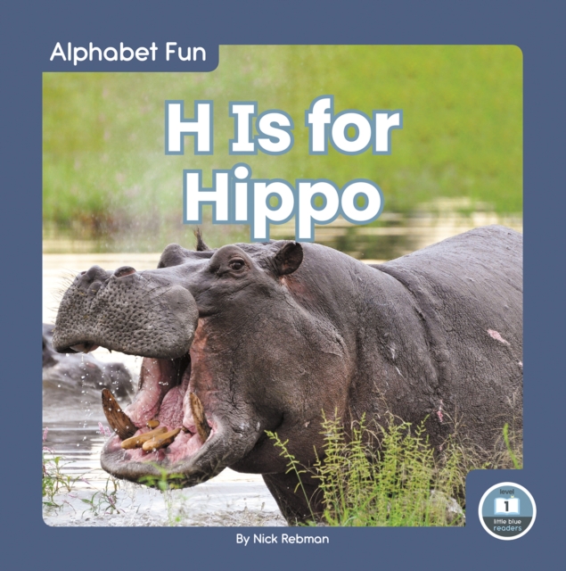 Alphabet Fun: H is for Hippo, Hardback Book