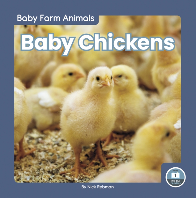 Baby Chickens, Hardback Book