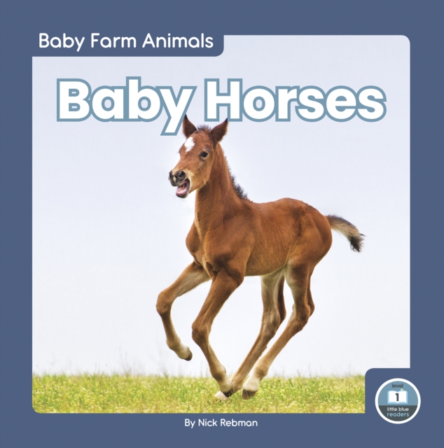 Baby Horses, Hardback Book