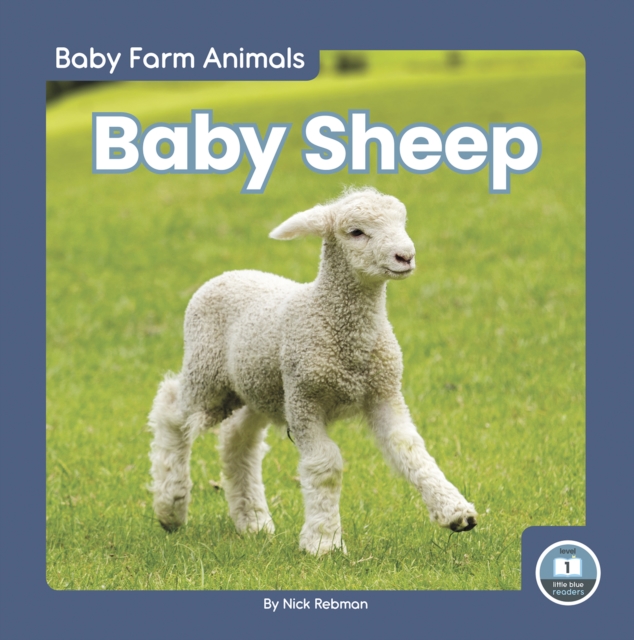 Baby Sheep, Hardback Book