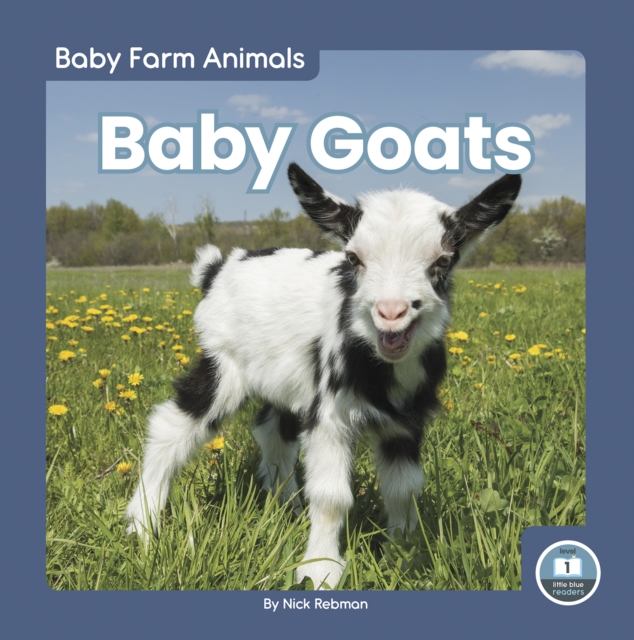 Baby Goats, Paperback / softback Book