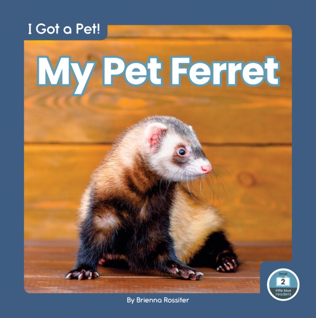 I Got a Pet! My Pet Ferret, Paperback / softback Book