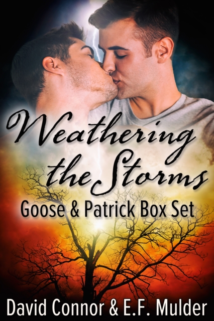 Weathering the Storms Box Set, EPUB eBook