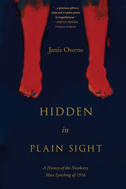 Hidden in Plain Sight : A History of the Newberry Mass Lynching of 1916, Paperback / softback Book