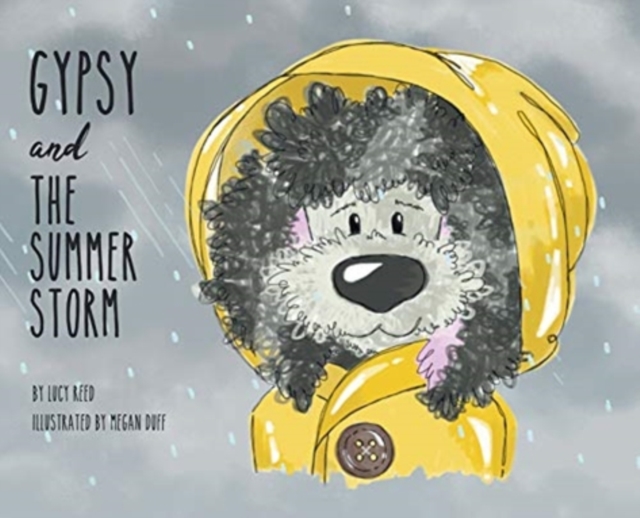 Gypsy and The Summer Storm, Hardback Book