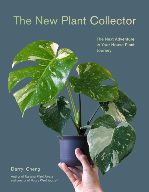 New Plant Collector : The Next Adventure in Your House Plant Journey, EPUB eBook