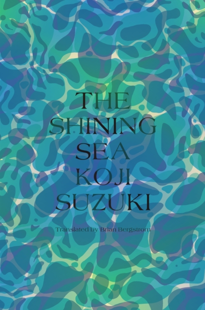 The Shining Sea, Hardback Book
