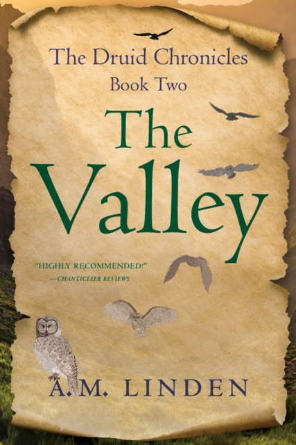 The Valley : The Druid Chronicles, Book Two, Paperback / softback Book