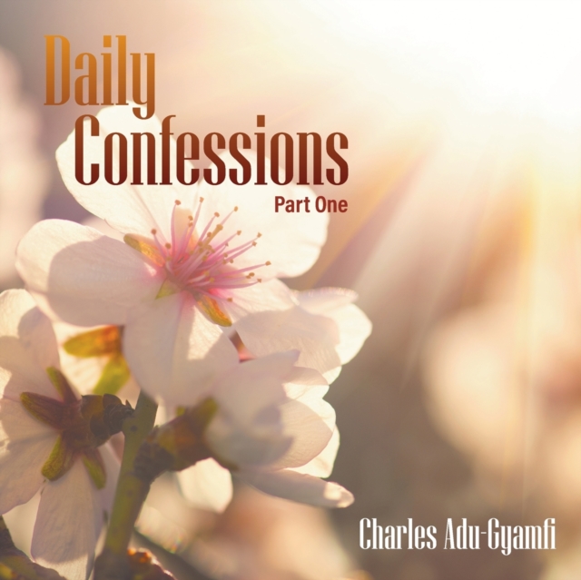 Daily Confessions, Paperback / softback Book