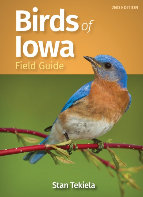 Birds of Iowa Field Guide, Paperback / softback Book