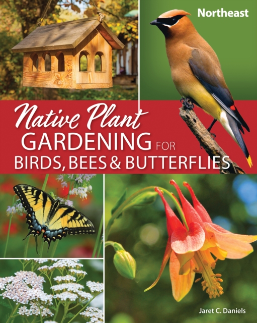 Native Plant Gardening for Birds, Bees & Butterflies: Northeast, Paperback / softback Book