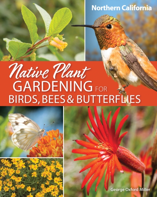 Native Plant Gardening for Birds, Bees & Butterflies: Northern California, Paperback / softback Book