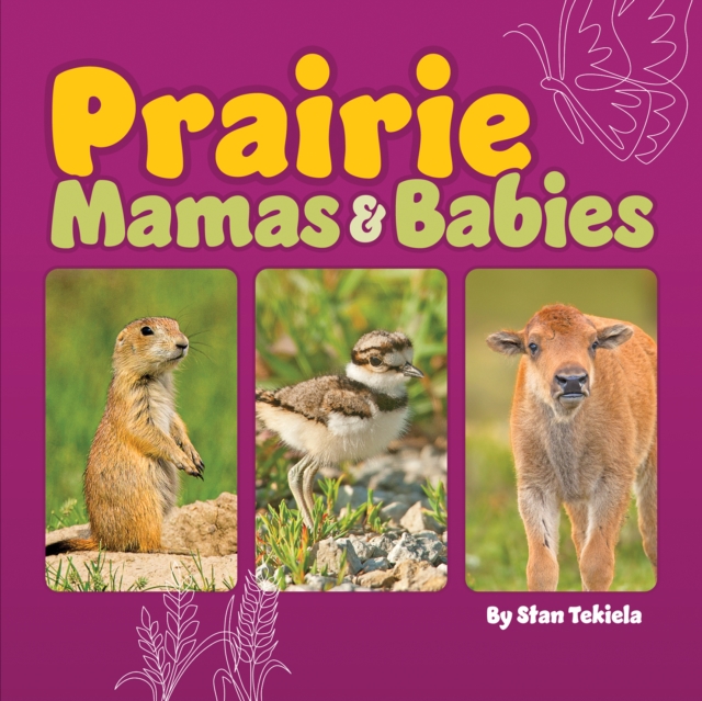 Prairie Mamas and Babies, Board book Book