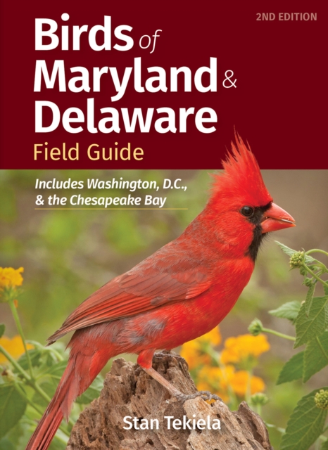 Birds of Maryland & Delaware Field Guide : Includes Washington, D.C., and Chesapeake Bay, Paperback / softback Book