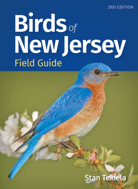 Birds of New Jersey Field Guide, Paperback / softback Book