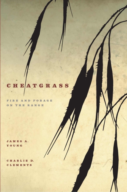 Cheatgrass : Fire and Forage on the Range, Paperback / softback Book
