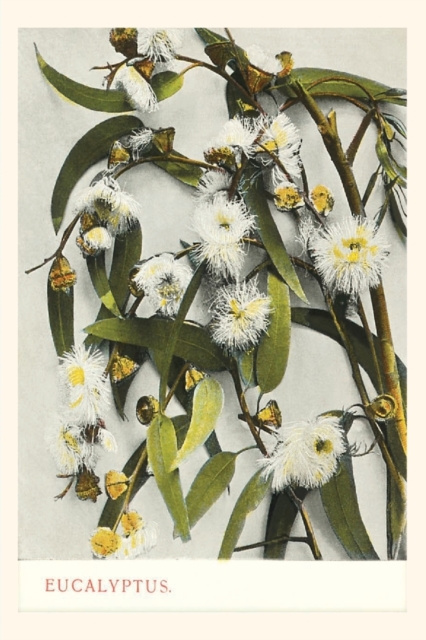 The Vintage Journal Eucalyptus Blossoms pocket journal features a trav, Paperback / softback Book