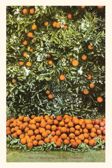The Vintage Journal Orange Grove, Paperback / softback Book