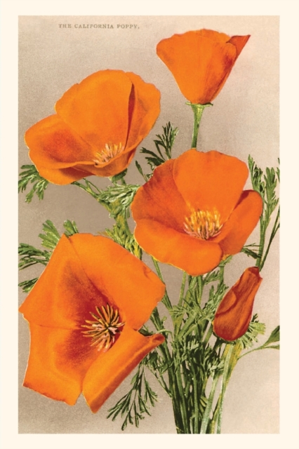 The Vintage Journal California Poppies, Paperback / softback Book