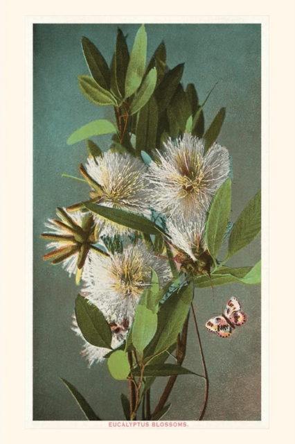The Vintage Journal Eucalyptus Blossoms, Paperback / softback Book