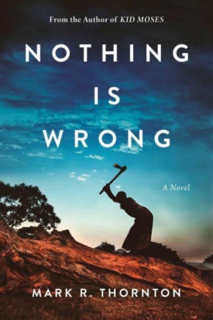 Nothing Is Wrong : A Novel, Hardback Book