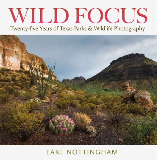 Wild Focus : Twenty-five Years of Texas Parks & Wildlife Photography, Hardback Book