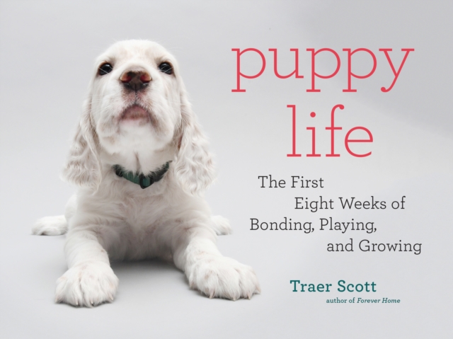 Puppy Life : The First Eight Weeks of Bonding, Playing, and Growing, Hardback Book