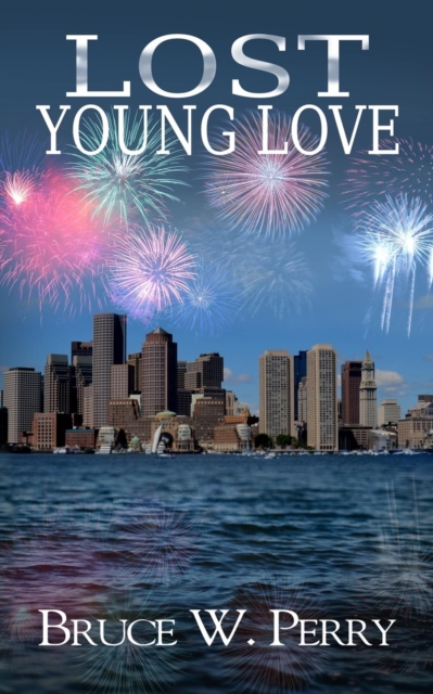 Lost Young Love, Paperback / softback Book