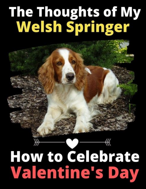 The Thoughts of My Welsh Springer : How to Celebrate Valentine's Day, Paperback / softback Book