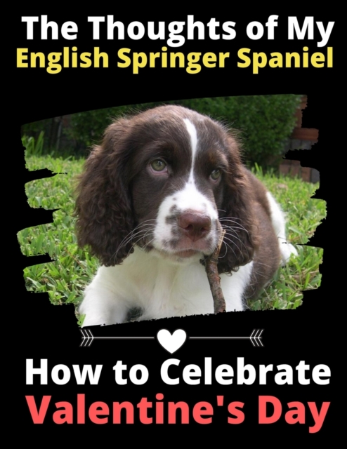 The Thoughts of My English Springer Spaniel : How to Celebrate Valentine's Day, Paperback / softback Book
