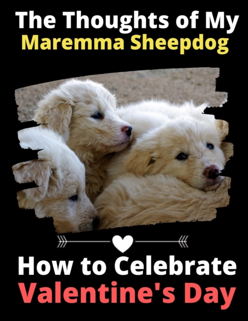 The Thoughts of My Maremma Sheepdog : How to Celebrate Valentine's Day, Paperback / softback Book