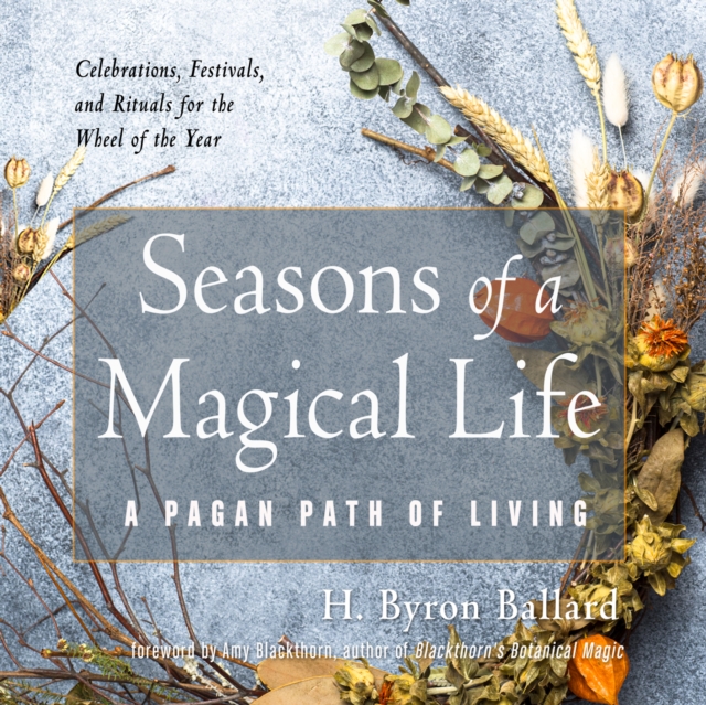Seasons of a Magical Life, eAudiobook MP3 eaudioBook
