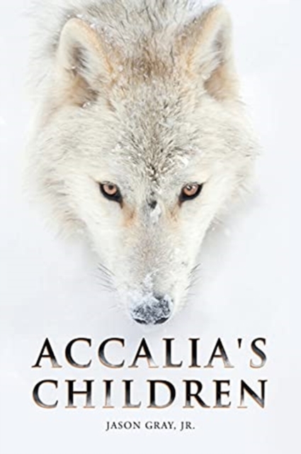 Accalia's Children, Paperback / softback Book
