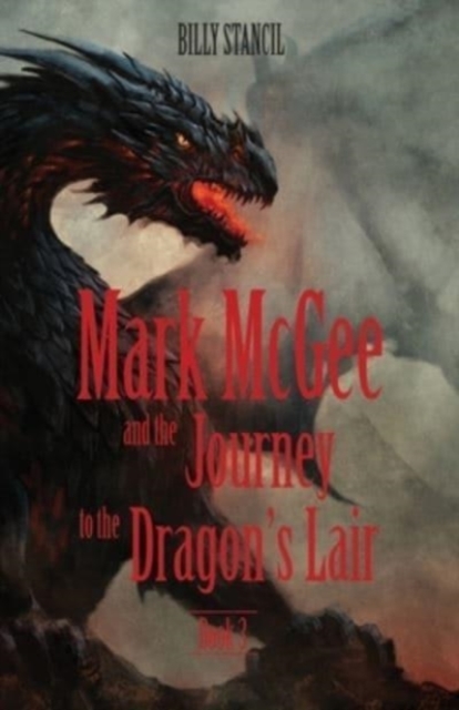 Mark McGee and the Journey to the Dragon's Lair : Book 3, Paperback / softback Book