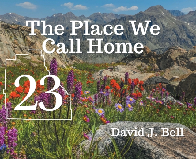 23 : The Place We Call Home, Hardback Book