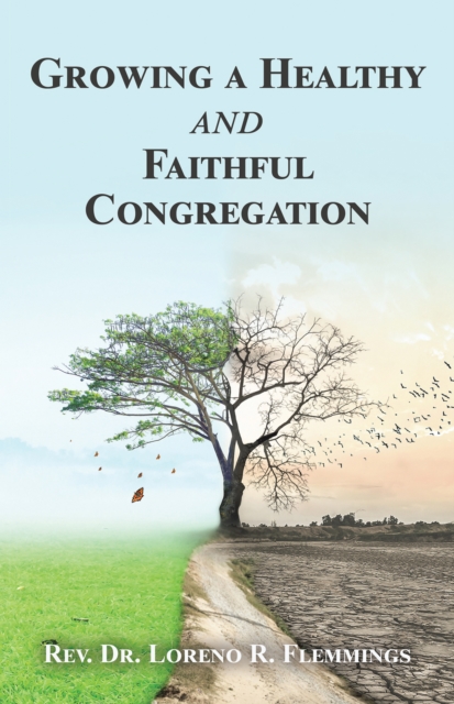 Growing a Healthy and Faithful Congregation, EPUB eBook