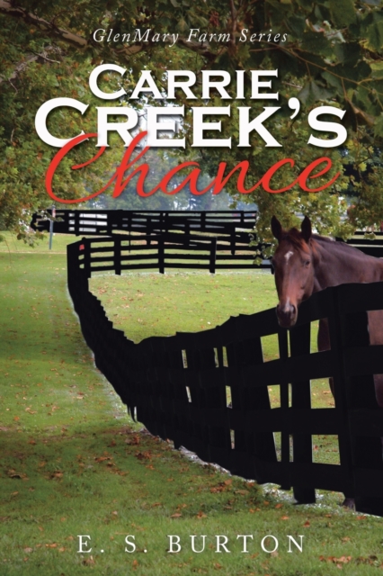 Carrie Creek's Chance : Glenmary Farm Series, Paperback / softback Book
